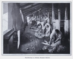 Handklippning i ett Riverina Woolshed, Merribee (s/v foto) av Photographer Australian