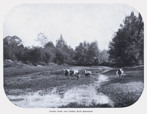 Lockyer Creek, nära Laidley, South Queensland (s/v foto) av Photographer Australian