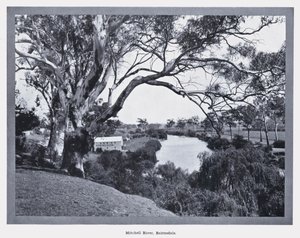 Mitchell River, Bairnsdale (svart/vitt foto) av Photographer Australian