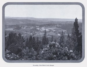Piccadilly, från Mount Lofty Ranges (s/v foto) av Photographer Australian