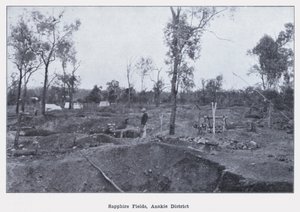 Sapphire Fields, Anakie District (s/v foto) av Photographer Australian