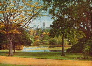  av Photographer Australian