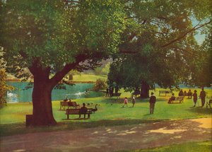 Botaniska trädgården, Melbourne (färgfoto)