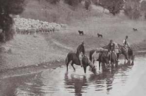 Resten, typiska australiensiska stockmen (s/v foto) av Photographer Australian