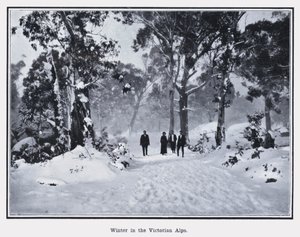 Vinter i de viktorianska alperna (s/v foto) av Photographer Australian