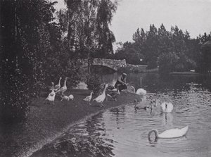 Lake, Beacon Hill Park, Victoria, British Columbia (s/v foto) av Photographer Canadian