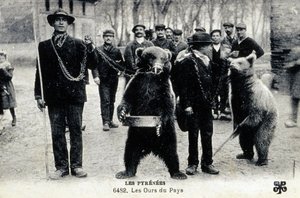 Björnskådespel i Pyrenéerna, ca 1900 (svartvitt foto) av Photographer French
