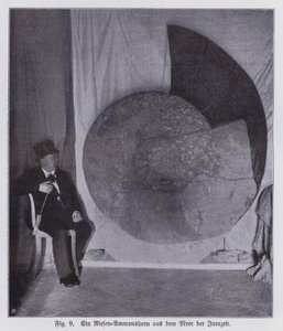 Fossil av en gigantisk ammonit, marin varelse från juraperioden (s/v foto) av Photographer German