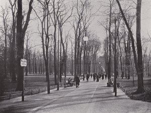 I Tiergarten, Ahornsteig (s/v foto) av Photographer German