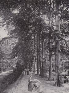I Tiergarten, en skuggig stig (s/v foto) av Photographer German