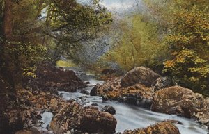 Irland: In The Dargle, County Wicklow (färgat foto) av Photographer Irish