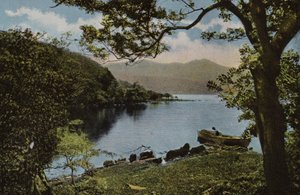 Sydirland: Vid Innisfallen, Killarney (färgat foto) av Photographer Irish