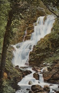 Sydirland: Torc Cascade, Killarney (färgat foto) av Photographer Irish