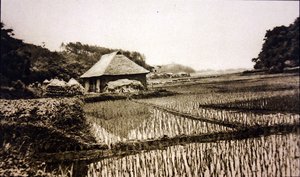 Risfält i Japan av Photographer Japanese