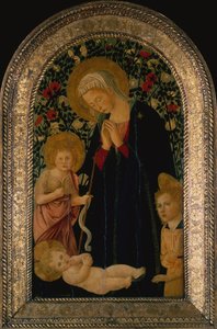 Madonnan som älskar barnet med spädbarnet Johannes döparen, ängeln och rosenhäcken bakom (tempera på panelen)