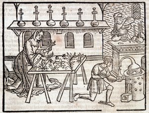 Medicin genom växter och deras dygder - i "" Rural and rural profits"" av Pierre de Crescent, Paris av Piero da Crescentino