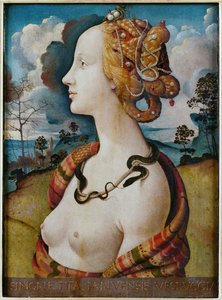 Portrait de femme dit de Simonetta Vespucci  av Piero di Cosimo