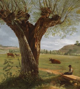Pollard Willow, efter 1804 (olja på papper, monterad på duk) av Pierre-Jean Boquet