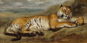 Tiger vila, c. 1830.