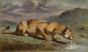 Sårade lejoninna, 184050.