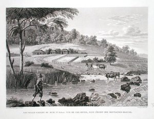 New South Wales, New Holland: Utsikt över Cox River i väster om Blue Mountains, från "Voyage Autour du Monde (1817-20)", av Louis Claude Desaulses de Freycinet (1779-1842) graverad av Schroeder, publicerad 1822 -24 (lito) av Pierre Antoine (after) Marchais