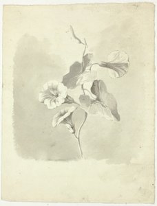 Morgonblommor av Pierre Antoine Mongin