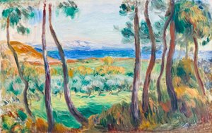 Tallar nära Cagnes, ca. 1910 (olja på duk) av Pierre Auguste Renoir