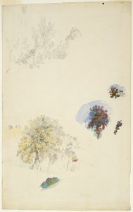 Studier av träd och lövverk av Pierre Auguste Renoir