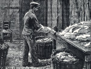 Läder: splittring av kaninskinn för att göra läder Gravyr från "Excursion a travers les metiers" av Pierre Calmette Private Collection
