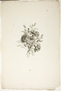 Bukett med nejlikor, från samling av olika buketter av blommor, uppfunnen och ritad av Jean Pillement och graverad av P. C. Canot av Pierre Charles Canot
