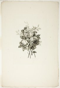Bukett med rosor, från samling av olika buketter av blommor, uppfunnen och ritad av Jean Pillement och graverad av P. C. Canot