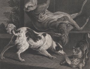 Hundar och stilleben, 1778