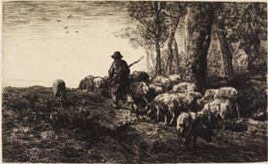 Tystnad och natt i skogen
