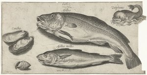 Torsk, vitling, en delfin och snäckor Fiske (serietitel) Piscium vivae-ikoner (serietitel)