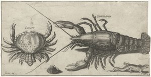 Hummer, krabba, salamander och ett skal Fiske (serietitel) Piscium vivae-ikoner (serietitel)