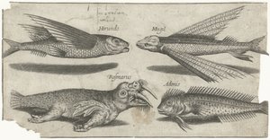 Flygande grymtande, knöl, blenny och en valross Fiske (serietitel) Piscivm vivae-ikoner (serietitel)