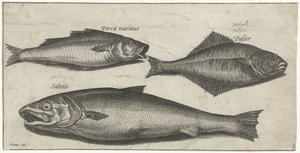 Havsabborre, tunga och en lax Fiske (serietitel) Piscium vivae-ikoner (serietitel)