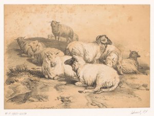Flock får