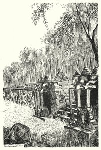 Sidoperron av Elephants