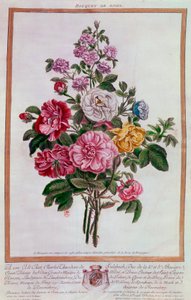 Bukett rosor Litografi av Pierre Joseph Buchoz (1731-1807) 1700-talets Paris, B.N. av Pierre Joseph Buchoz