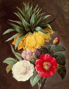Exotiska blommor av Pierre Joseph Redouté
