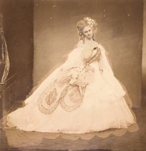 Bisi. Boudoir, grå sammetsklänning, rosa moire, rosa blommor, gråa blad av hennes mai,..., 1860-talet. av Pierre Louis Pierson