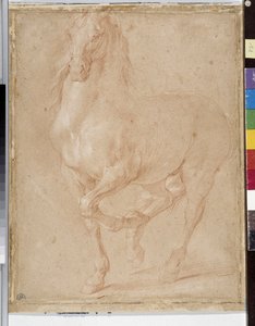 Häststudier (sangvinisk) av Pierre Puget