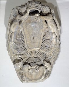 Kungens vapen Ludvig XIV (1638-1715) (marmor)