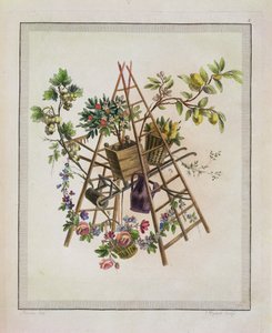 En trädgårdstextildesign, från Work som innehåller en samling troféer, attribut, patroner, vaser, blommor, prydnadsföremål och flera trevliga mönster för att brodera fåtöljer, graverade av Etienne C