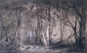 Virgin Forest on the edge of the Blue Nile, från Voyages au Soudan Oriental et dans lAfrique Septentrionale av Pierre Tremaux (1818-95) graverad av Tirpenne och J. Gaildrau, 1852 av Pierre Tremaux