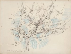 Blommande träd, ca 1917-18 (penna och krita på papper) av Piet Mondrian