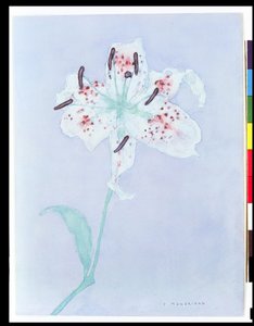 Lily, efter 1921 (akvarell och penna) av Piet Mondrian
