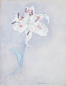 Lily, ca 1920-25 (akvarell på papper) av Piet Mondrian
