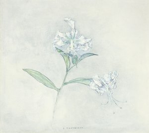 Två japanska liljor; Två japanska liljor av Piet Mondrian
